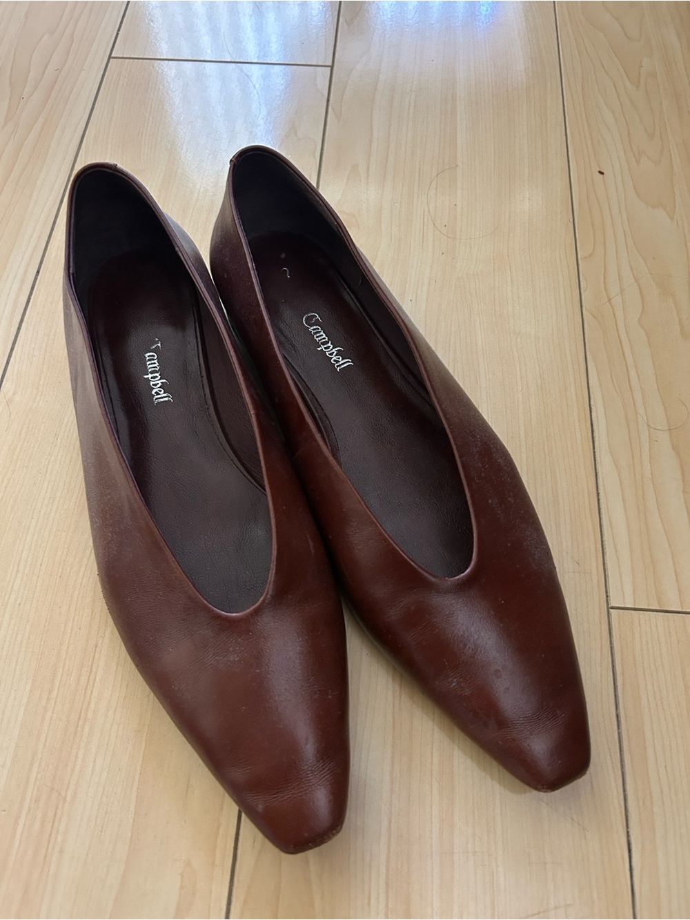 Jeffrey Campbell Hinted Flats